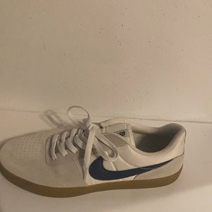 Nike SB Shoes in Men Size 10